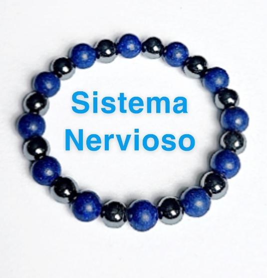 Sistema nervioso
