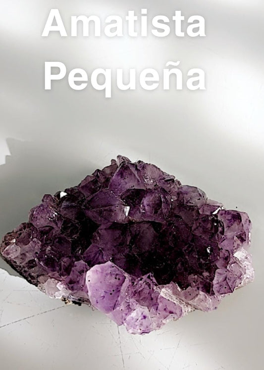 AMATISTA PEQUENA