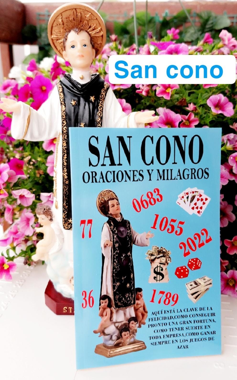 ESTATUA Y LIBRO SAN CONO