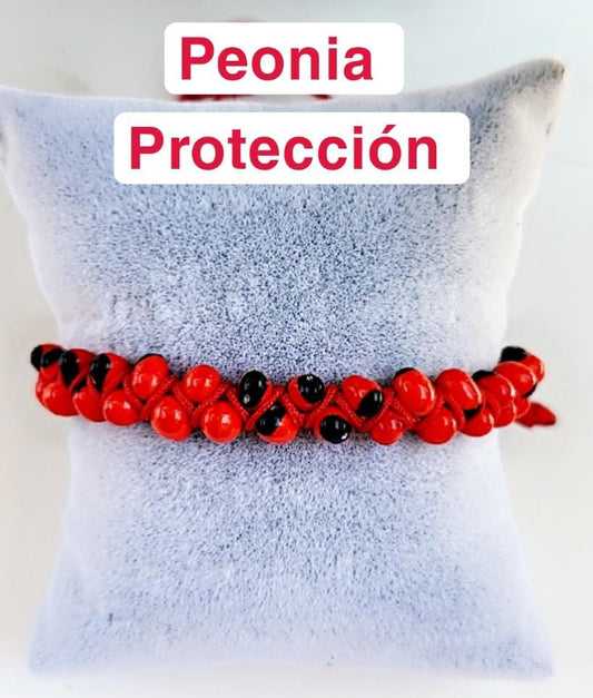 PEONIA PROTECCION