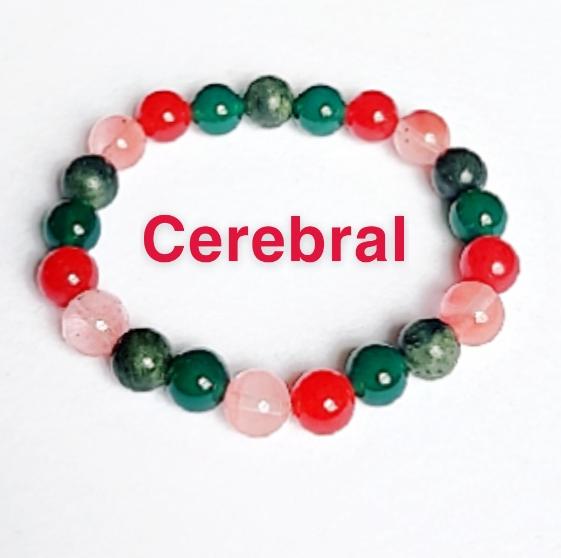 Cerebral memoria y enfoque
